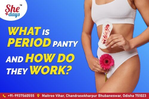what is period panty and how do they work ?